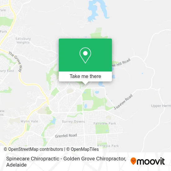 Mapa Spinecare Chiropractic - Golden Grove Chiropractor