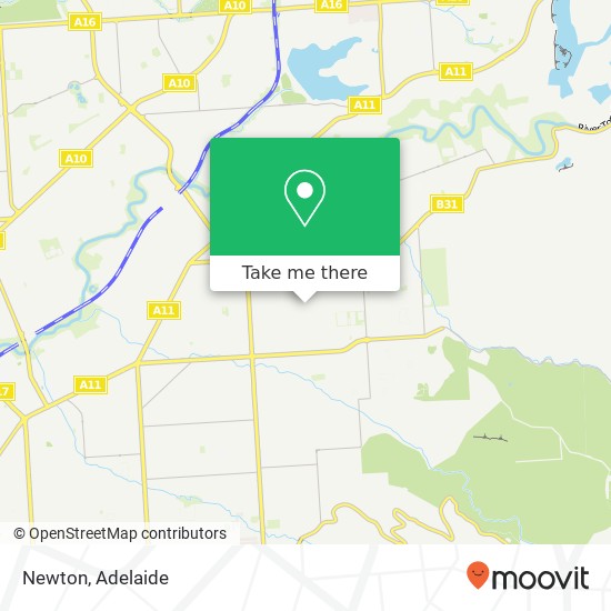 Newton map