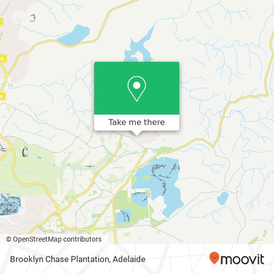 Brooklyn Chase Plantation map