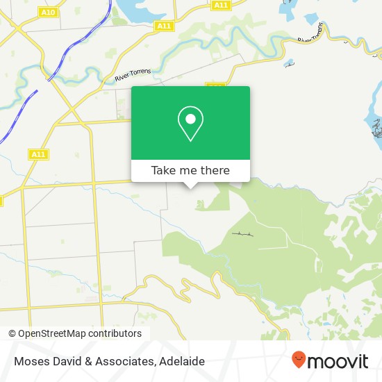 Moses David & Associates map