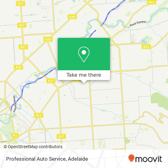 Professional Auto Service map