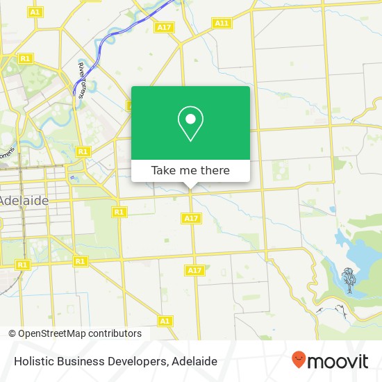 Holistic Business Developers map