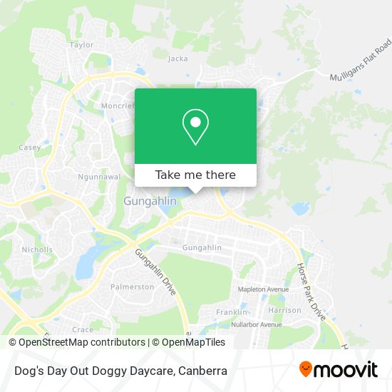 Dog's Day Out Doggy Daycare map