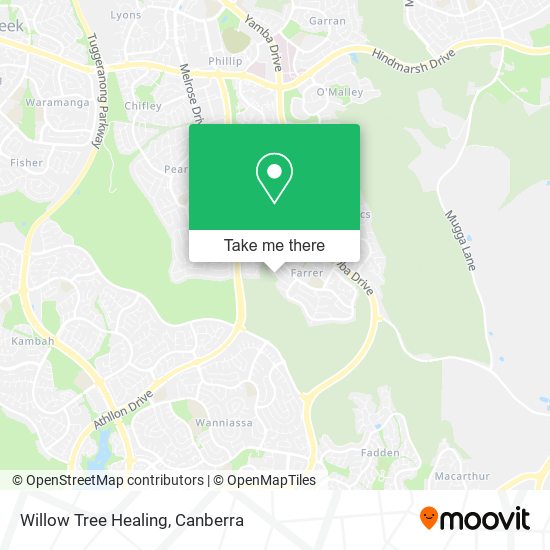 Willow Tree Healing map