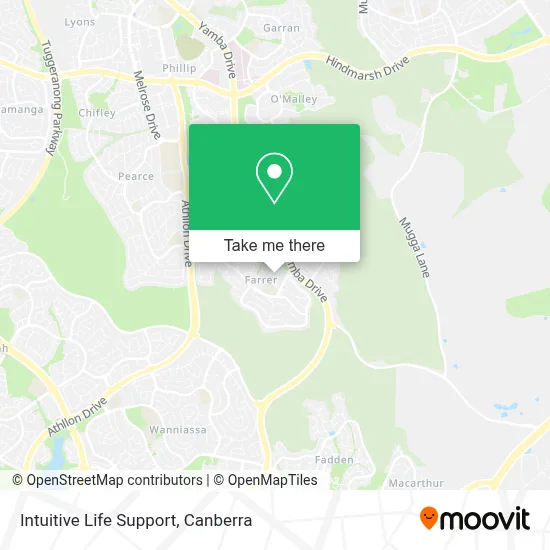 Mapa Intuitive Life Support