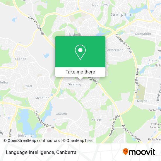 Language Intelligence map