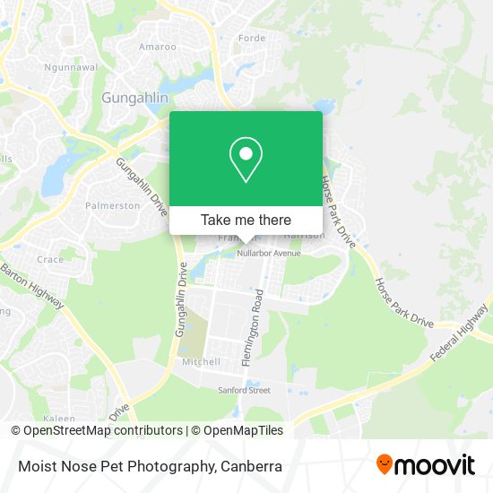 Moist Nose Pet Photography map