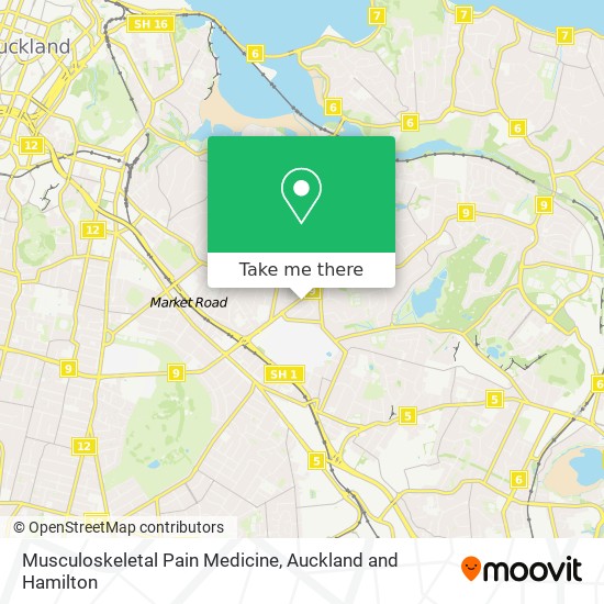 Musculoskeletal Pain Medicine map