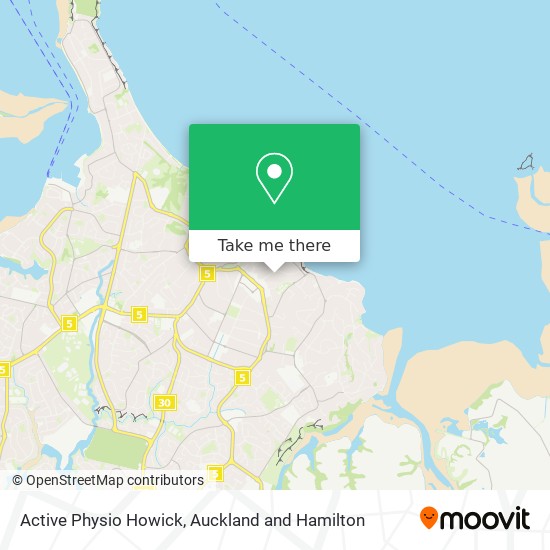 Active Physio Howick map