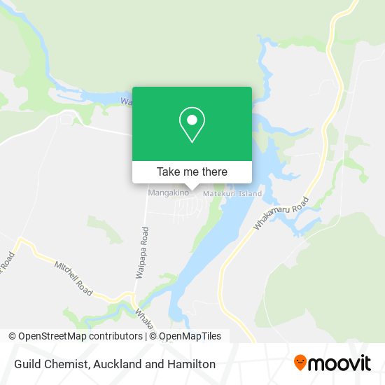 Guild Chemist map