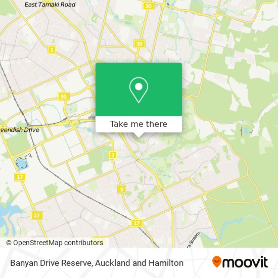 Banyan Drive Reserve map