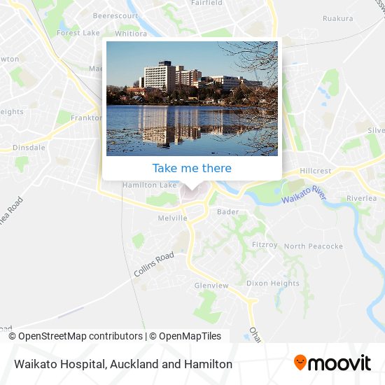 Waikato Hospital map