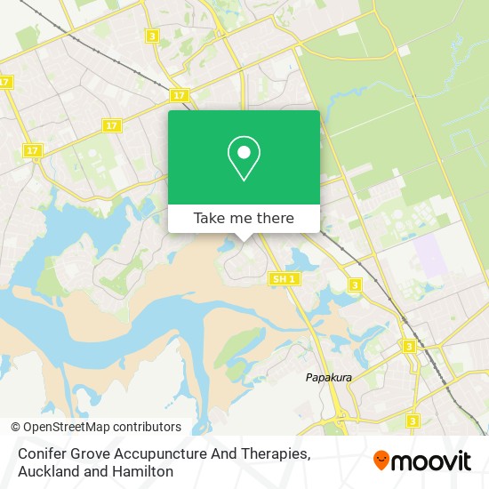 Conifer Grove Accupuncture And Therapies map