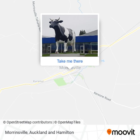Morrinsville map