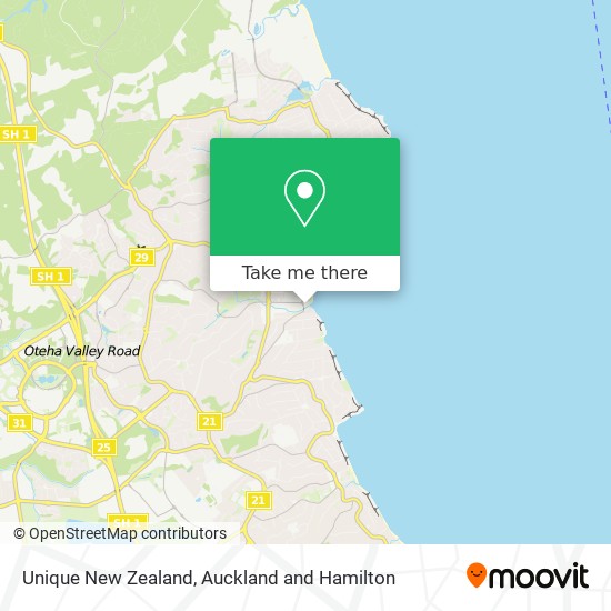 Unique New Zealand map