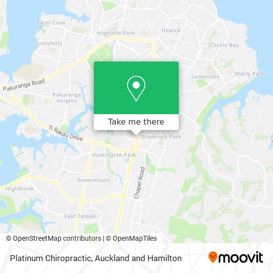 Platinum Chiropractic map