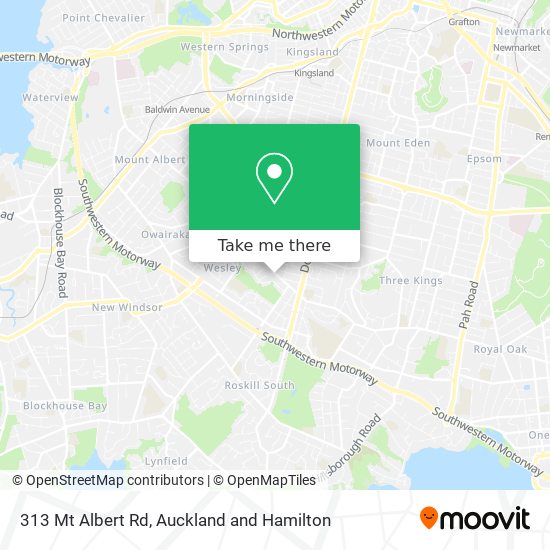 313 Mt Albert Rd map