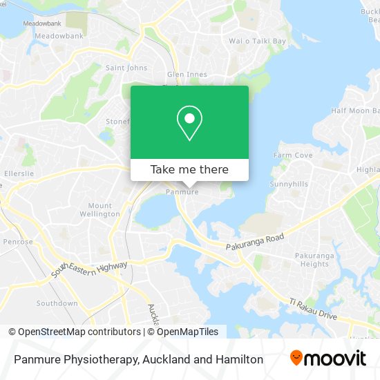 Panmure Physiotherapy map