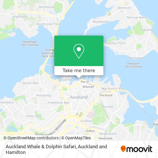 Auckland Whale & Dolphin Safari map