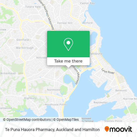 Te Puna Hauora Pharmacy map
