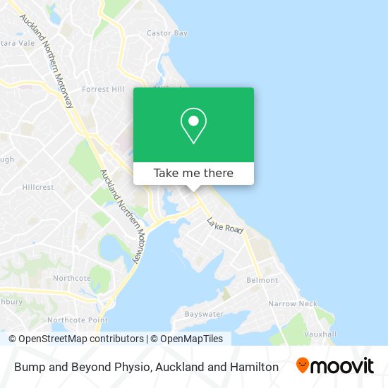 Bump and Beyond Physio map