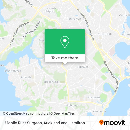 Mobile Rust Surgeon地图