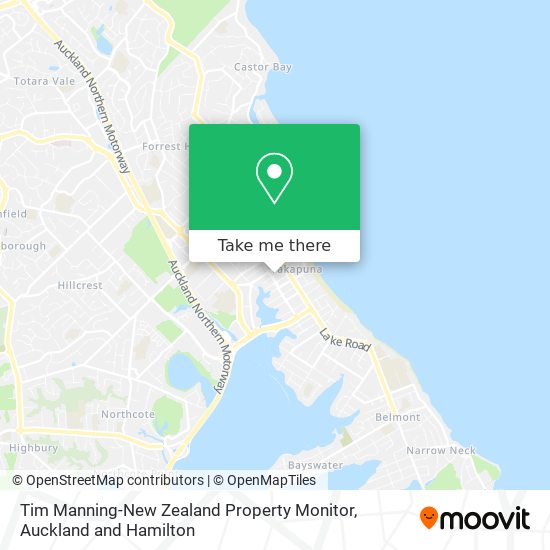 Tim Manning-New Zealand Property Monitor地图