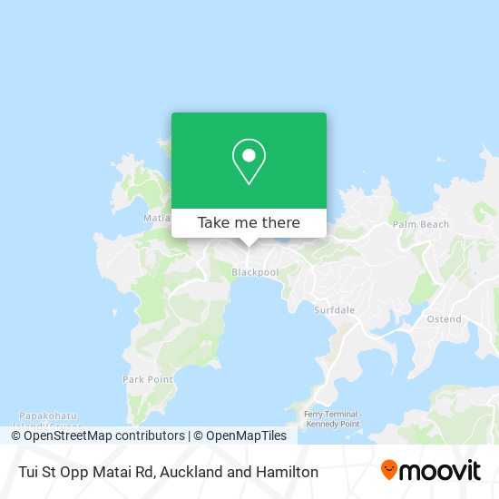 Tui St Opp Matai Rd地图