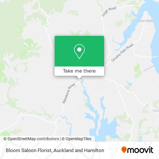Bloom Saloon Florist map