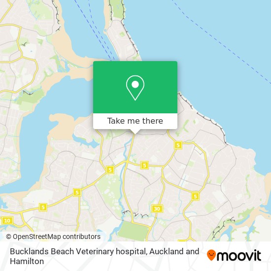 Bucklands Beach Veterinary hospital map