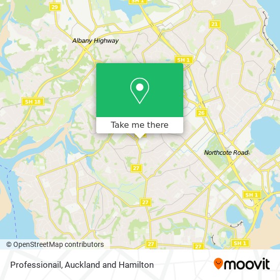 Professionail map