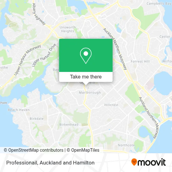 Professionail map