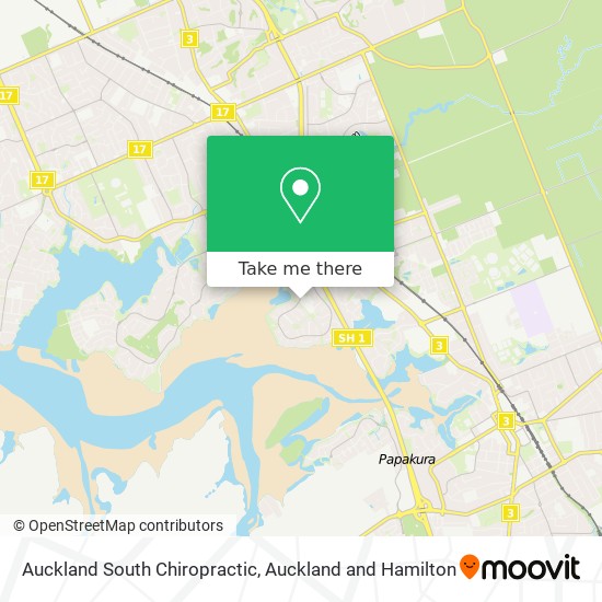 Auckland South Chiropractic map