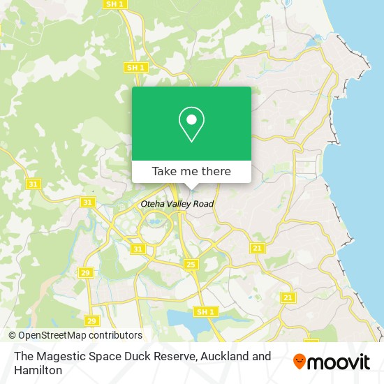 The Magestic Space Duck Reserve地图