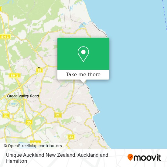 Unique Auckland New Zealand map