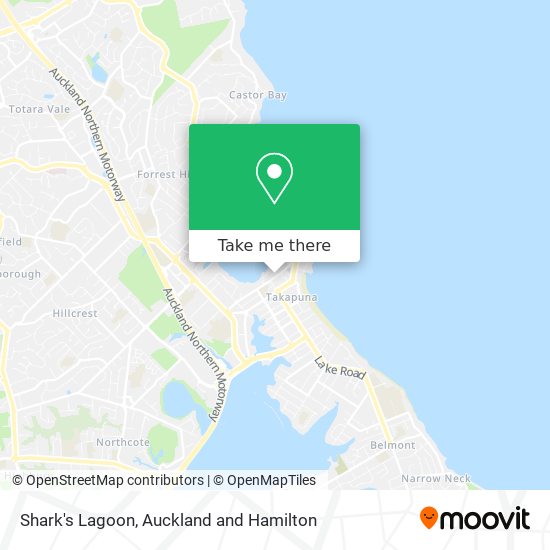 Shark's Lagoon地图