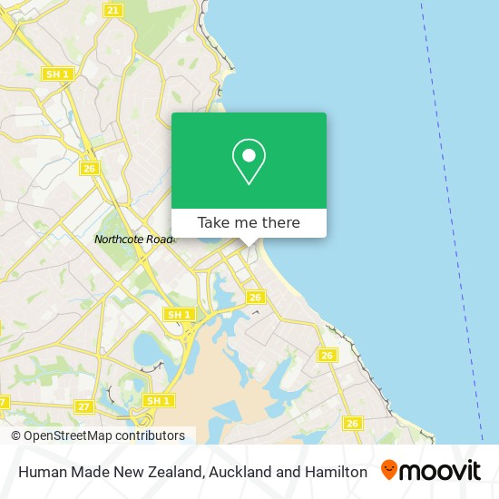 Human Made New Zealand map