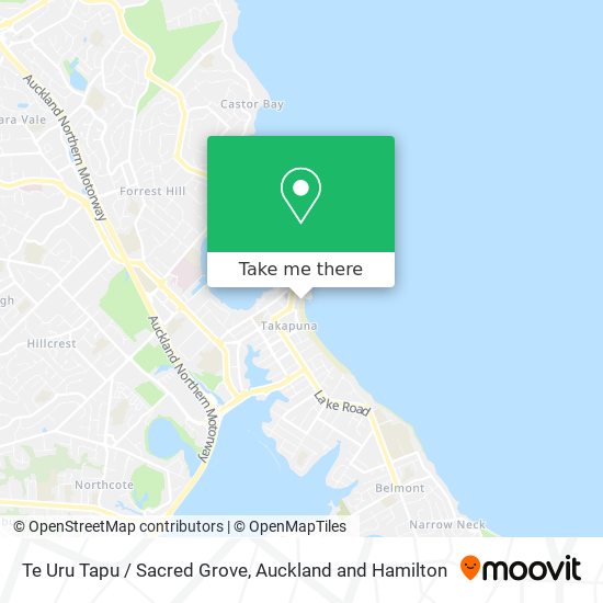 Te Uru Tapu / Sacred Grove map