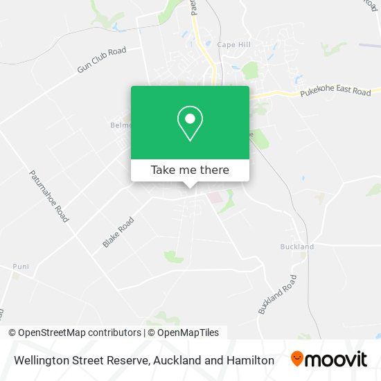 Wellington Street Reserve地图