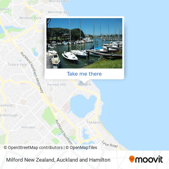 Milford New Zealand map