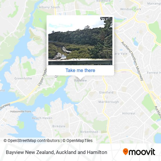 Bayview New Zealand map