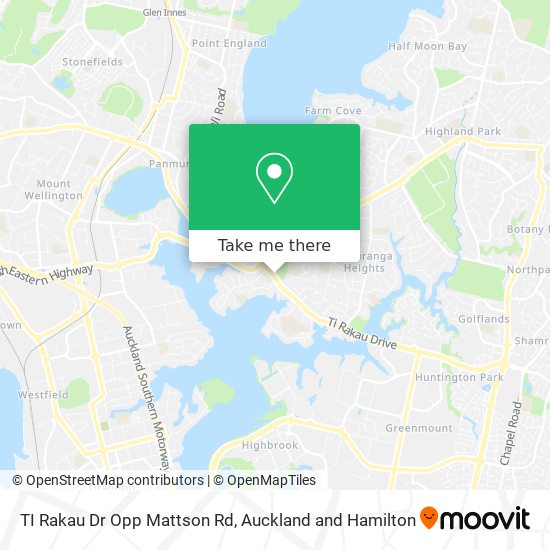 TI Rakau Dr Opp Mattson Rd map