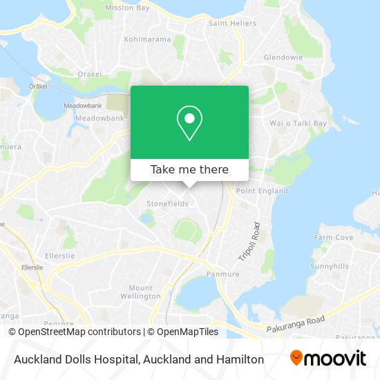 Auckland Dolls Hospital地图