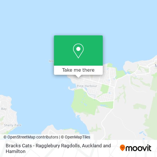 Bracks Cats - Ragglebury Ragdolls map