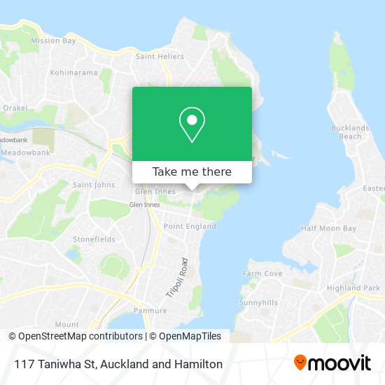 117 Taniwha St map