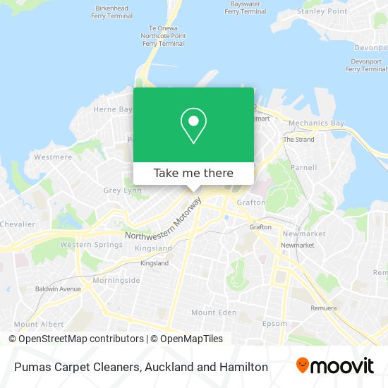 Pumas Carpet Cleaners map