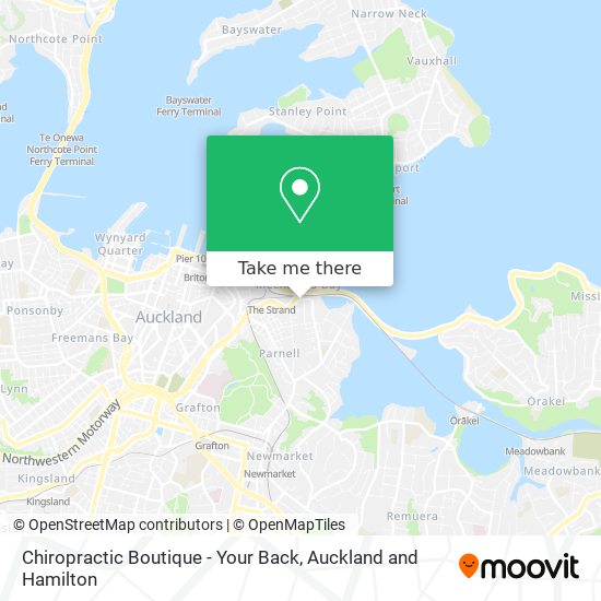 Chiropractic Boutique - Your Back map
