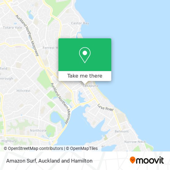 Amazon Surf map