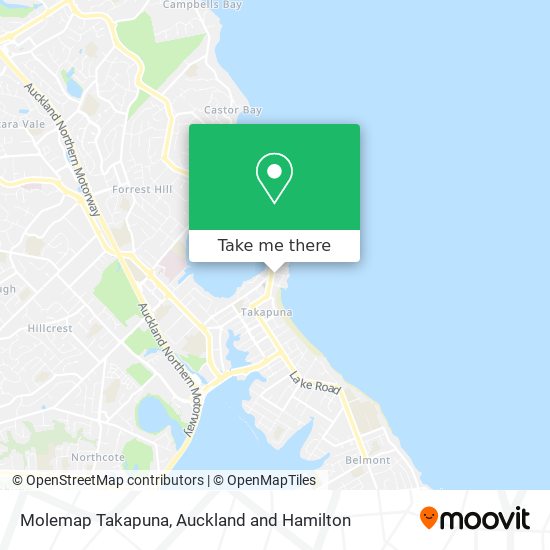 Molemap Takapuna map