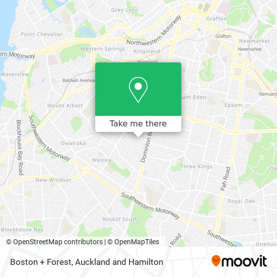 Boston + Forest地图
